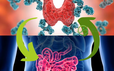 Unraveling the Gut-Immune Connection: Understanding Autoimmune Disorders like Hashimoto’s