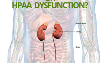 Understanding Chronic Stress and ‘Adrenal Fatigue’ or better known as HPAA Dysfunction